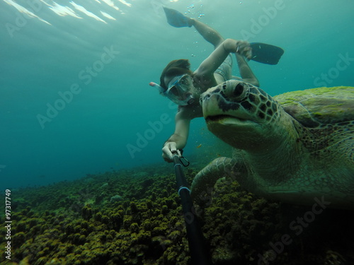 Fototapeta Naklejka Na Ścianę i Meble -  apnée tortue marine