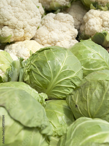 fresh cauliflower and cabbage for sale at farmers market