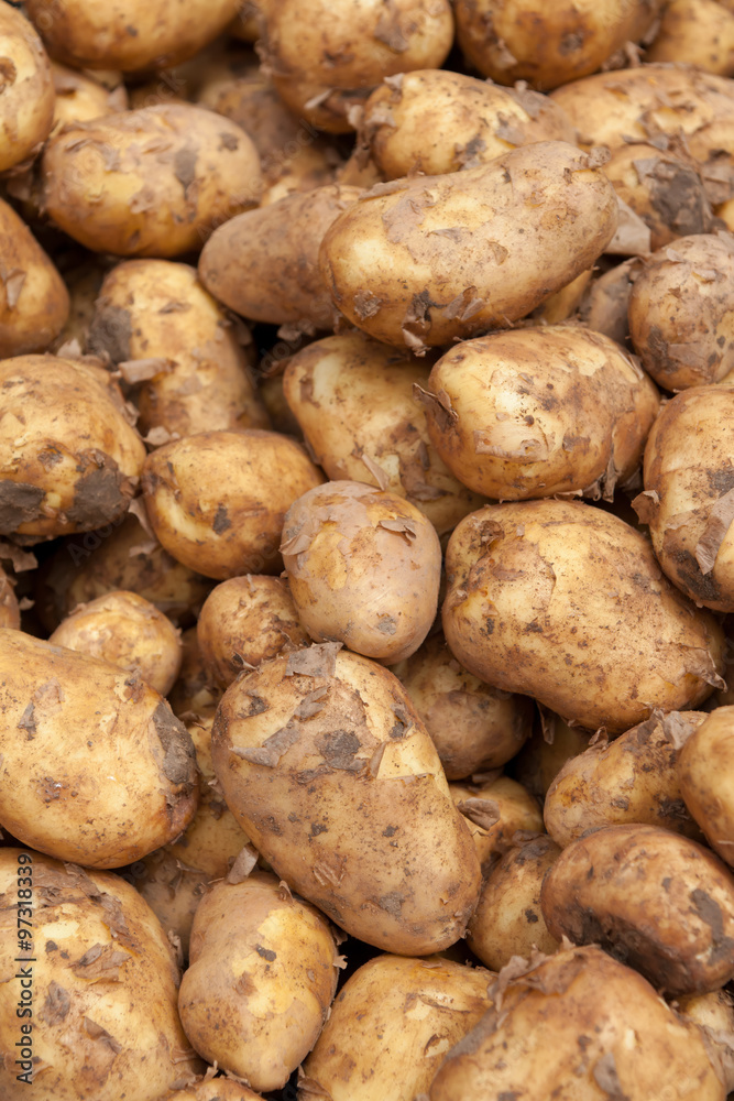 Pile of potatoes at farmers market front focused Pile of potatoes at farmers market front focused