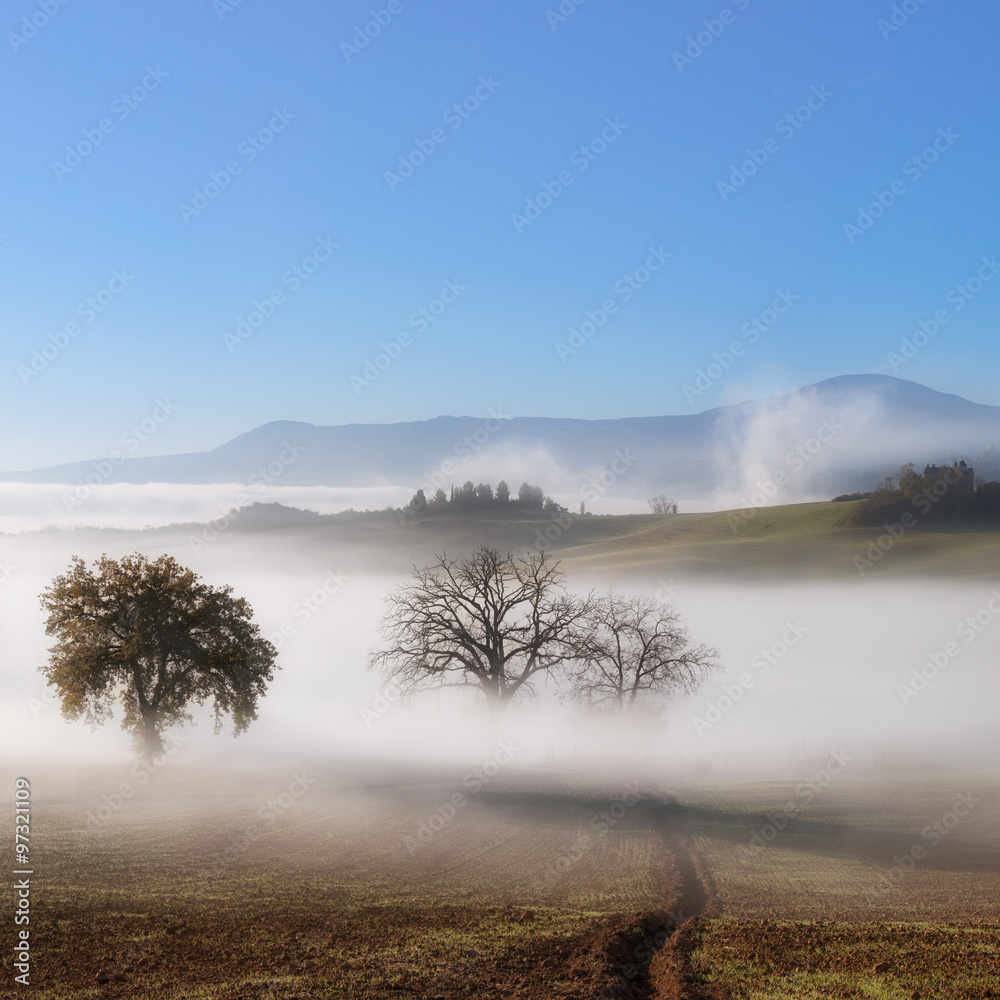 Panorama of Tuscanian farmland landscape