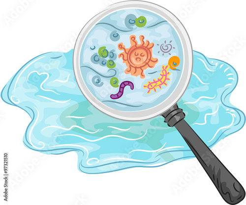 Magnifying Glass Water Germs