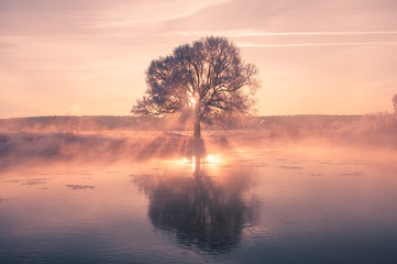 Foggy winter sunrise
