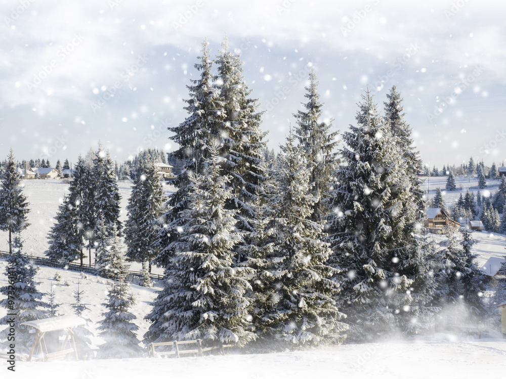 Snowing landscape. Winter Christmas card with snowy fir trees .Mountain village 