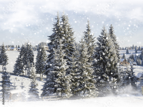 Snowing landscape. Winter Christmas card with snowy fir trees .Mountain village 