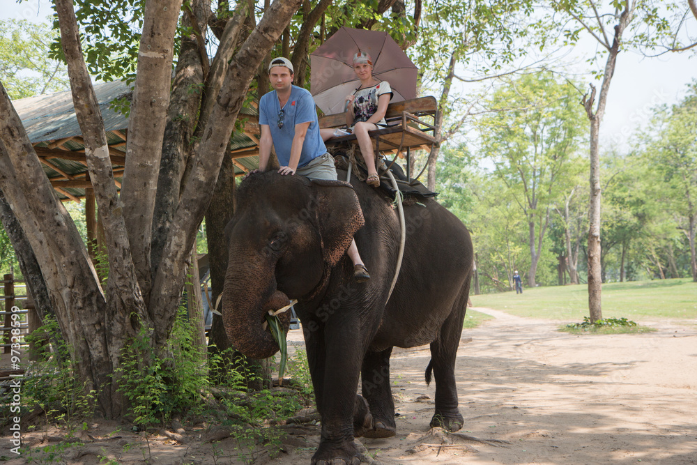 Fototapeta premium Two tourists travel by elephant