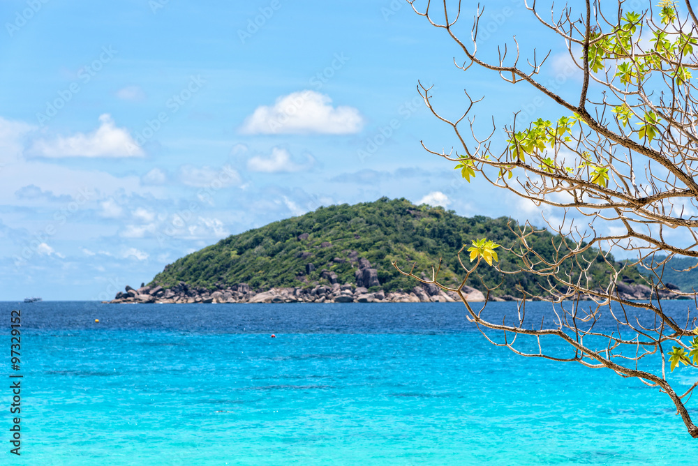 Beautiful natural landscape blue sky and sea under the tree at beach front of Koh Miang Island during summer in Mu Ko Similan National Park, Phang Nga Province, Thailand