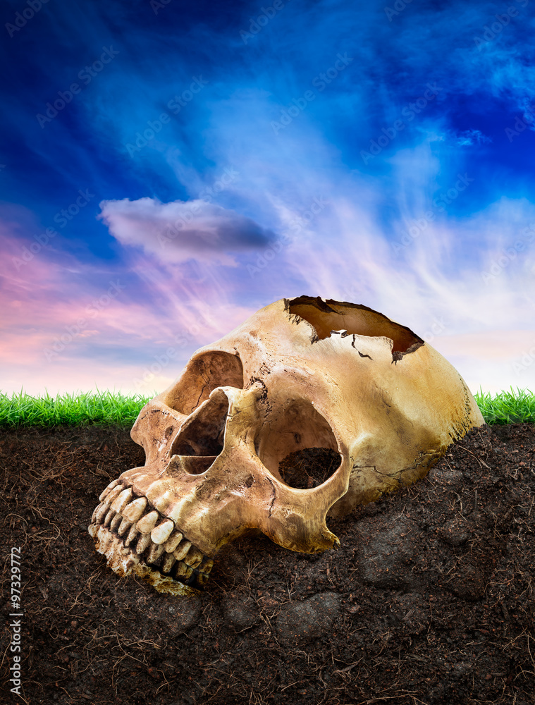 Obraz na plátně Broken human skull bury underground
