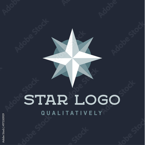 Star Polaris sharp white flat style lights twinkle quality mark logo icon modern