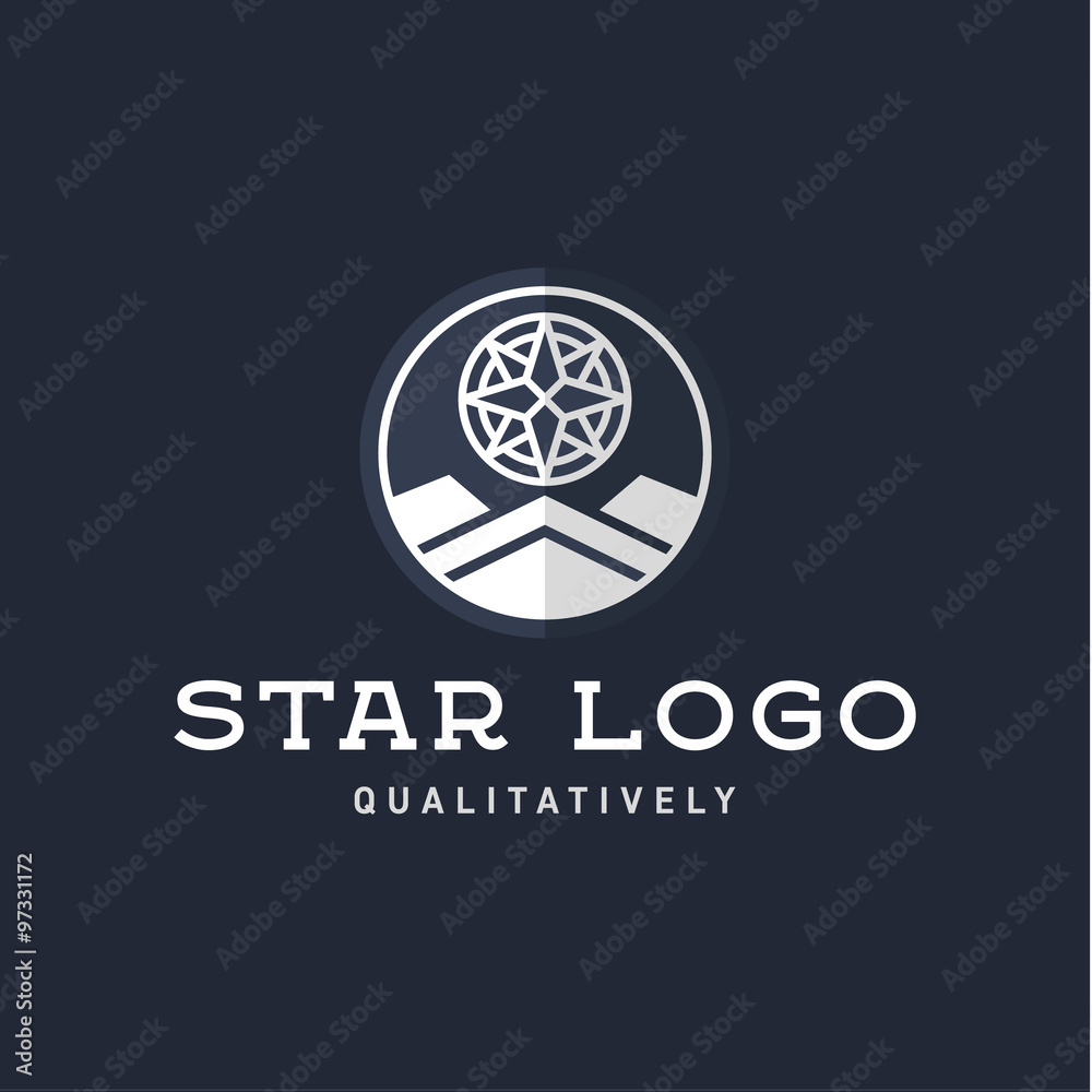 Fototapeta premium Star Polaris sharp white flat style lights twinkle quality mark logo icon modern