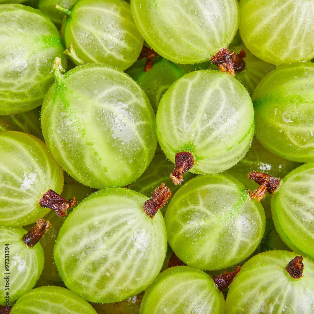 Fresh gooseberry background Fresh gooseberry background