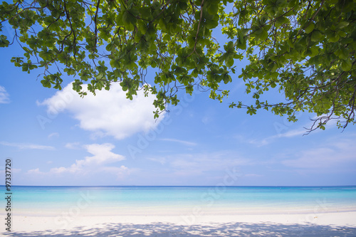 Fototapeta Naklejka Na Ścianę i Meble -  tropical beach with blue sky and calm blue sea surf