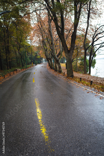  The forest road 