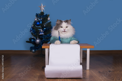 Fototapeta Naklejka Na Ścianę i Meble -  Cat writes a letter to Santa Claus