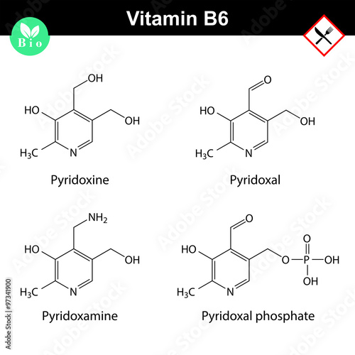 Chemical formulas of vitamin b6 forms