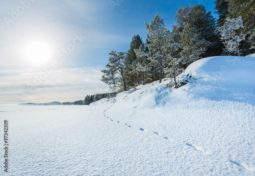 Winter landscape on lakeside