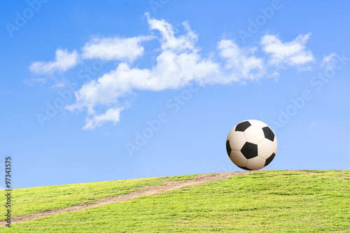 Soccer ball on the grass