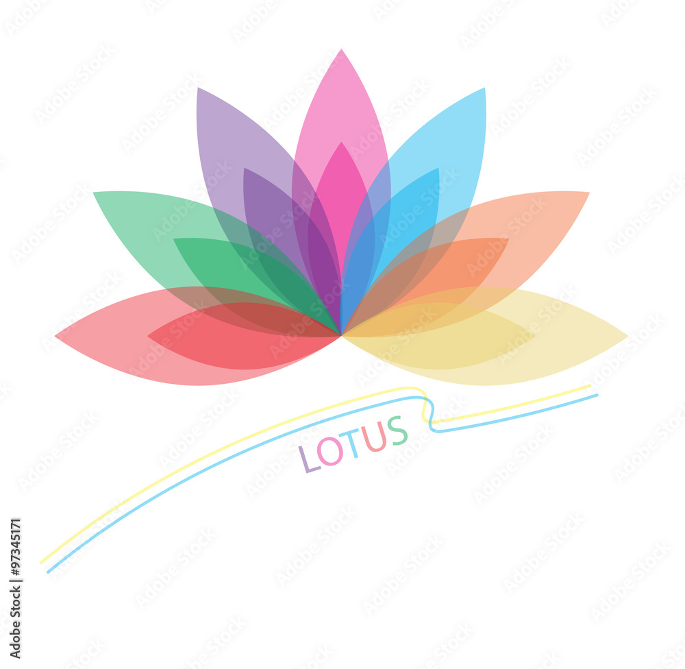 colorful flower vector on white background