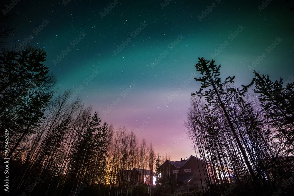 Northern lights aurora borealis in the night sky