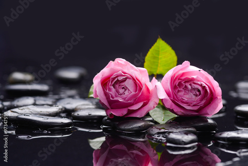 Still life with two pink rose and wet stones