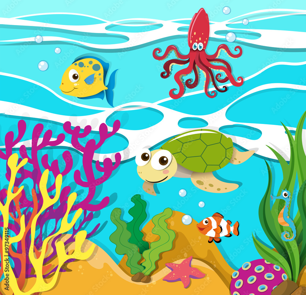 Sea animals swimming in the ocean Sea animals swimming in the ocean