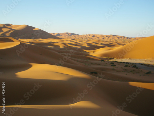 Sand dunes in the desert