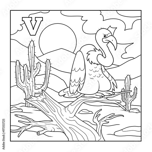 Coloring book (vulture), colorless illustration (letter V) photo