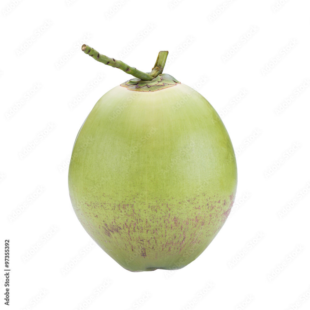Green coconut Fruit on white background. Green coconut Fruit on white background.