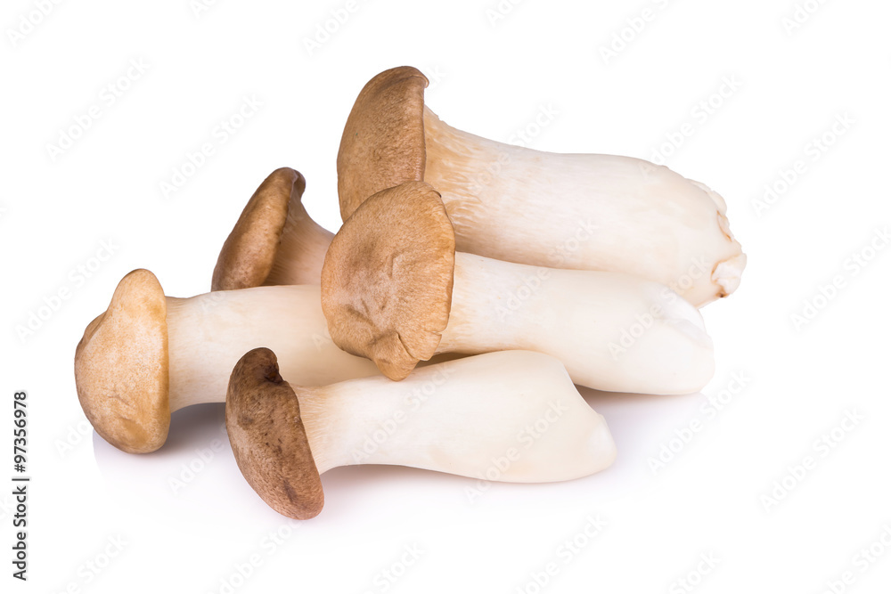King Oyster mushroom on white backgroud. King Oyster mushroom on white backgroud.