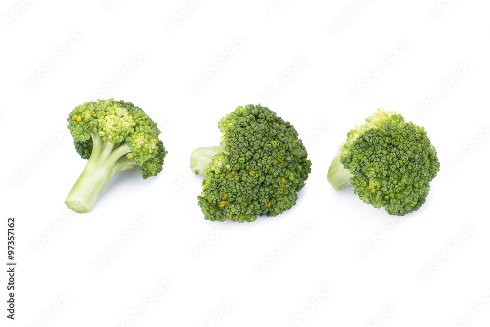 blocked Kerry on a white background blocked Kerry on a white background