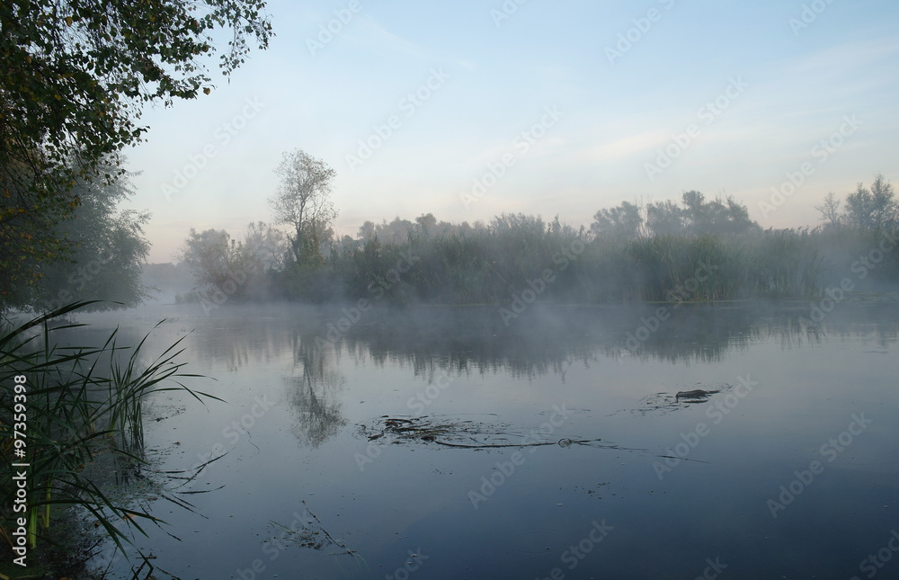 Fototapeta premium Morning landscape with fog on the river