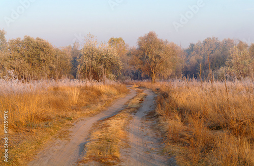 dry grass in the meadow near the woods covered with frost cold foggy morning