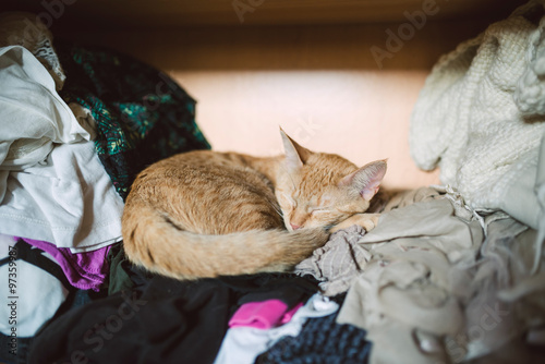 Obraz na plátně Orange tabby cat sleeping on clothes inside a closet