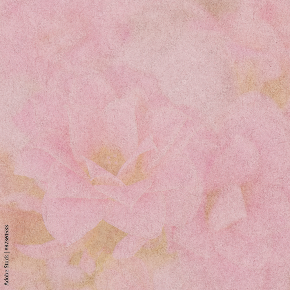 Fototapeta premium Grunge paper texture or background with flower pattern.