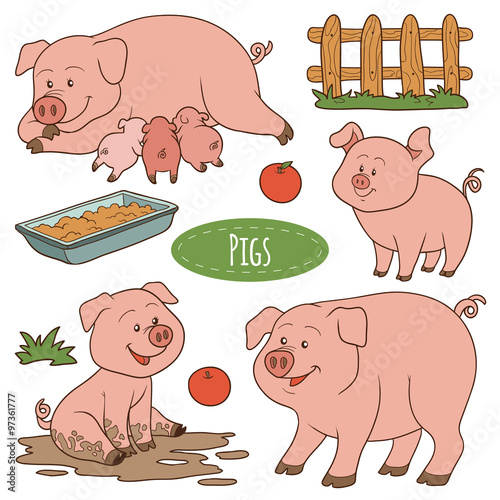Set of cute farm animals and objects, vector family pigs photo