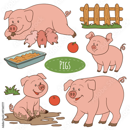 Set of cute farm animals and objects, vector family pigs