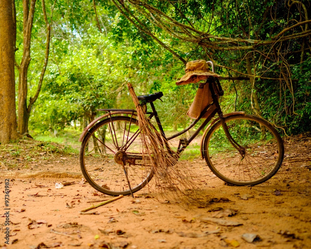 Vintage bicycle standing in the tropical forest