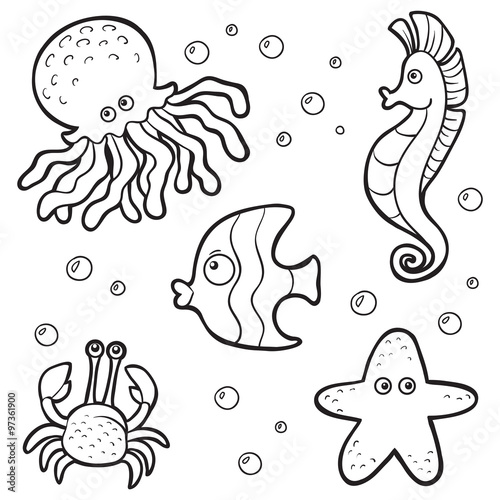 Vector colorless set about fishes