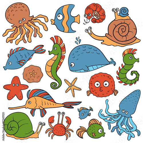 Vector color set about fishes