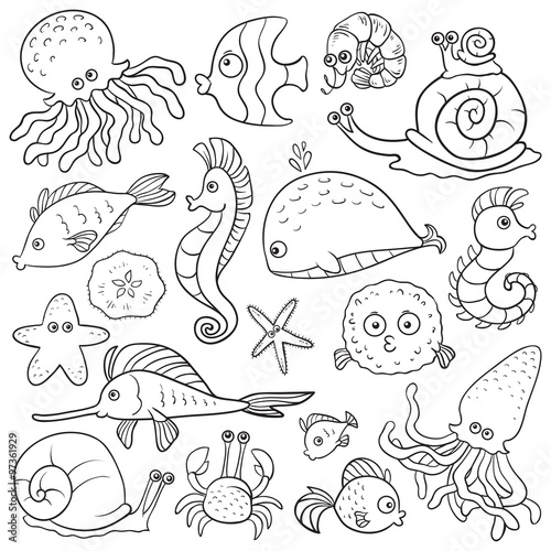 Vector colorless set about fishes