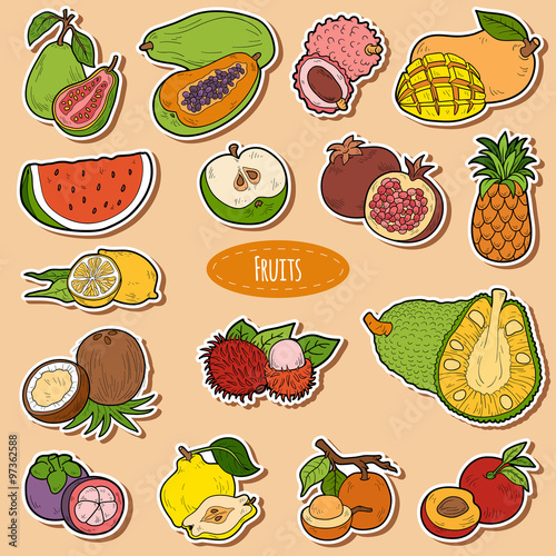 Color set with tropical fruits, vector cartoon stickers