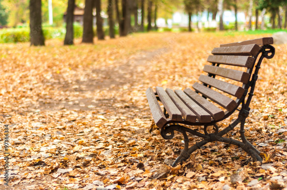 Скамейка в осеннем парке, усыпанном опавшими листьями.