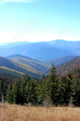 Carpathian mountains