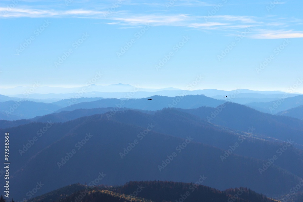 Fototapeta premium Carpathian mountains