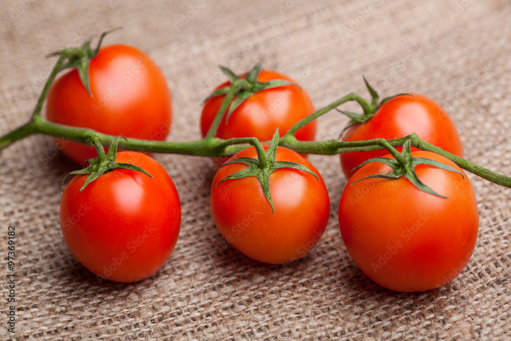 Bunch of fresh tomatoes on sacking Bunch of fresh tomatoes on sacking