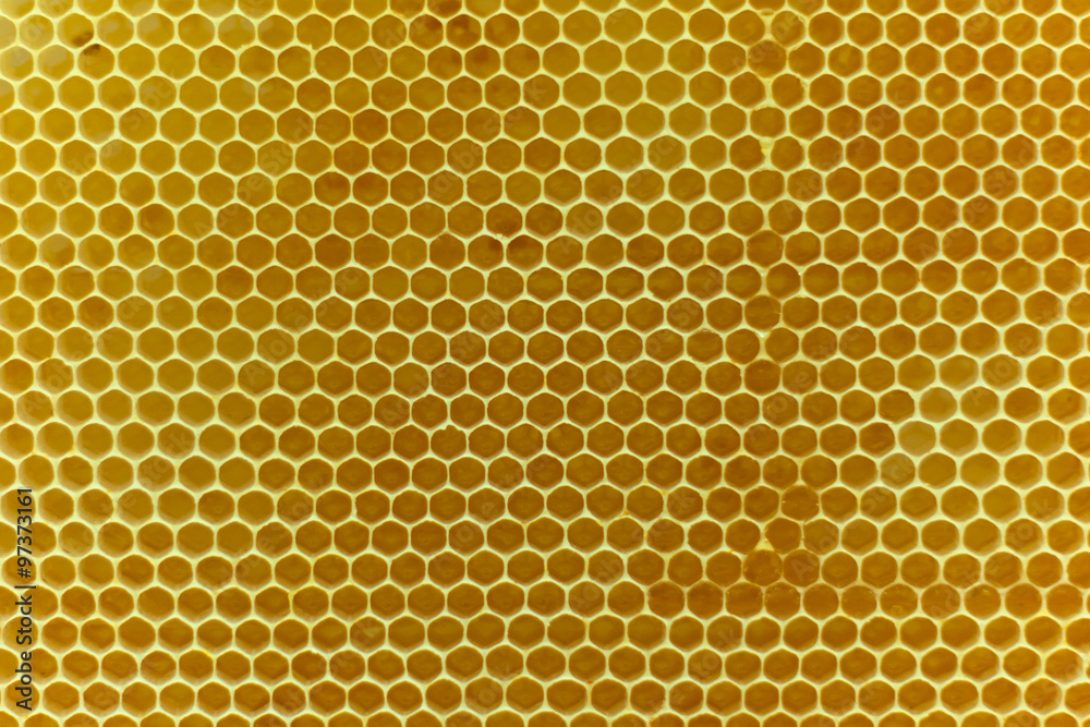Real natural honeycombs made from yellow beewax