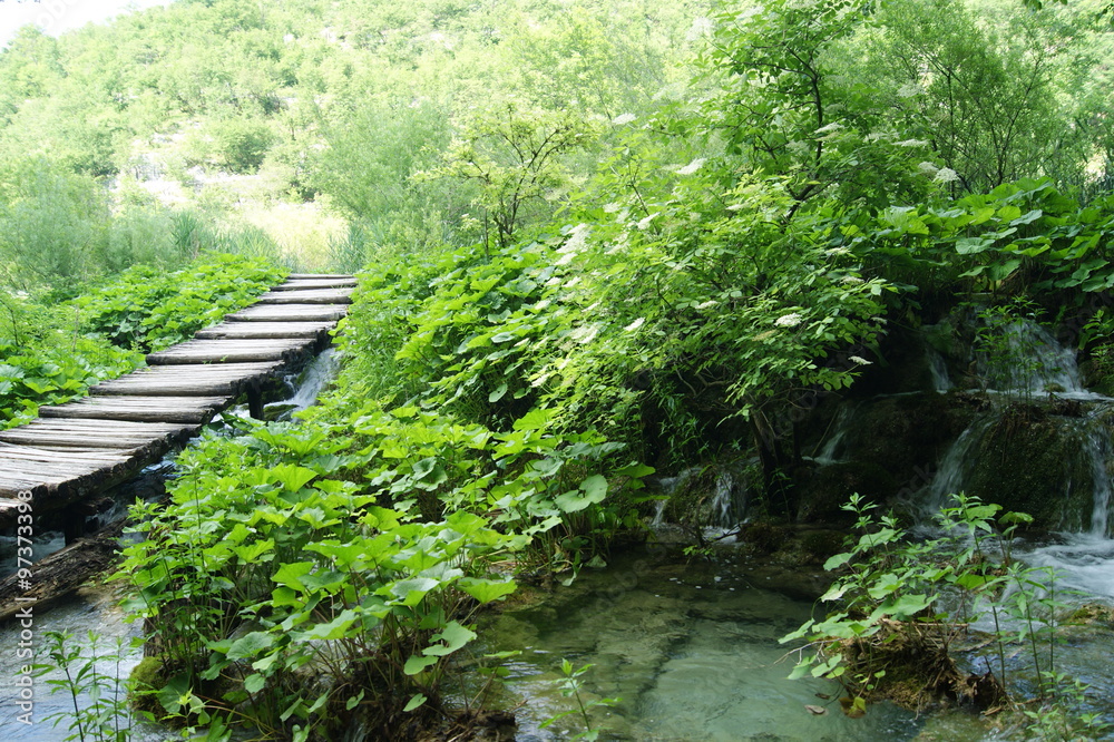 Obraz premium plitvice jezera