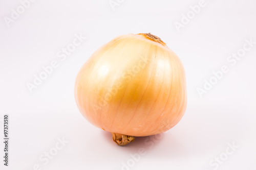 raw onion isolated
