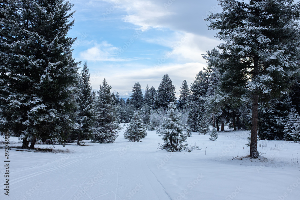 Croos Country Ski Track