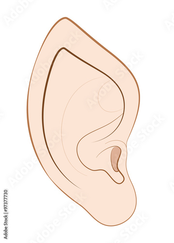 Pointed ear of an elf, fairy, vampire or other fantasy creature or animal. Isolated vector illustration on white background.