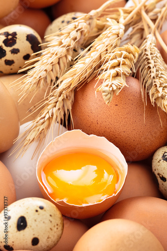 Close up shot of fresh chicken egs on farmer’s market. photo